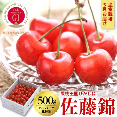 ふるさと納税 東根市 2024年産GI東根さくらんぼ 佐藤錦秀品Lサイズ500g(バラパック)