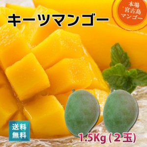 キーツマンゴー1.5kg（2玉）沖縄 宮古島産 マンゴーの収穫量日本一の