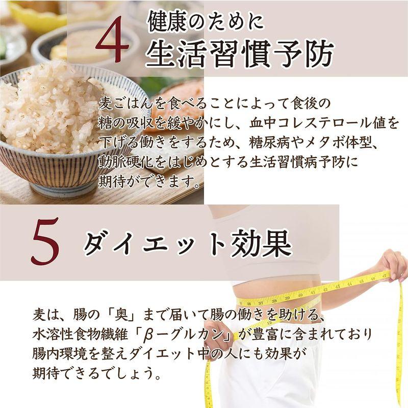 雑穀 麦 国産 麦5種ブレンド(丸麦 押麦 はだか麦 もち麦 はと麦) 1kg(500g×2袋) 一部地域を除く 雑穀米本舗