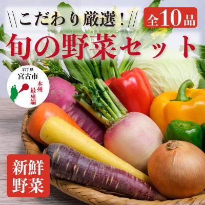 ふるさと納税 宮古市 こだわり厳選!旬の野菜セット