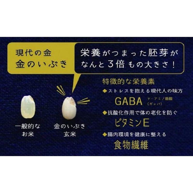 おくさま印 契約栽培 金のいぶき プレミアム玄米 パック ごはん 120g×12個