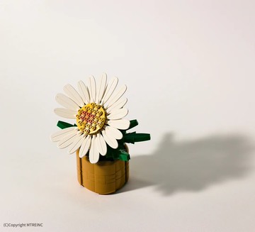 【GD】小雛菊限量積木