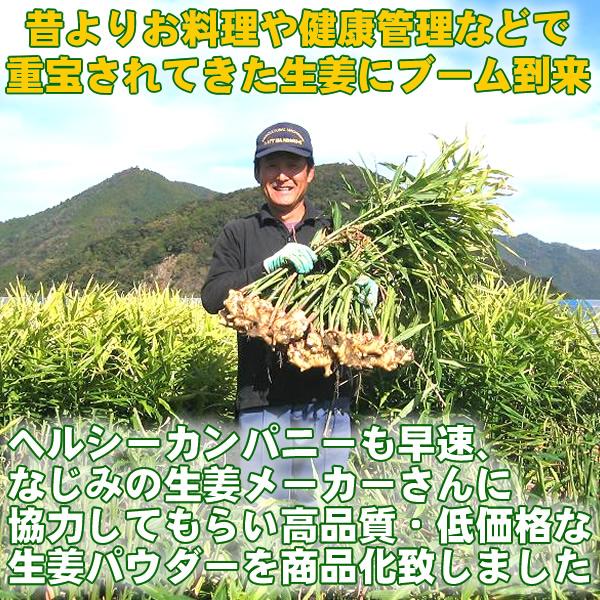 生姜 粉末 しょうが パウダー 100ｇ 高知県産ウルトラ生姜 殺菌蒸し工程 1cc計量スプーン入り メール便 送料無料