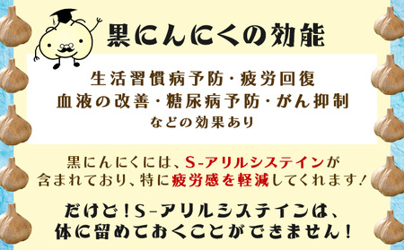 青森県産熟成にんにく元気くん　セットＡ