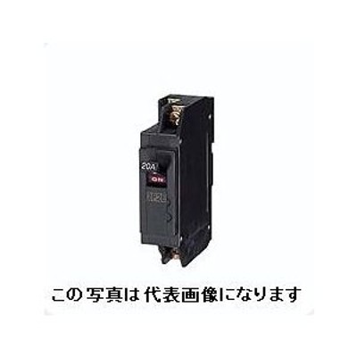 日東工業 2P 30A 協約サイズ 100V専用 スリムサーキットブレーカ 日東