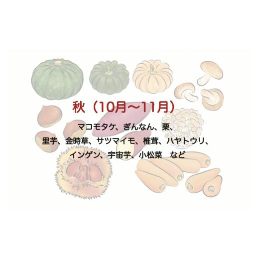 ふるさと納税 静岡県 南伊豆町 湯の花　旬の野菜セット2か月間の定期便