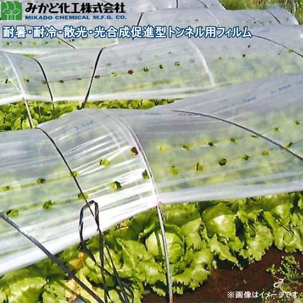 みかど化工　ソフトユーラックカンキ　(ソフトカンキ)　SUK50A　カンキ4号　厚さ0.05mm×幅185cm×長さ100m　2本セット　トンネル用農POフィルム