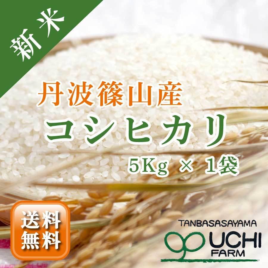 お米 送料無料 コシヒカリ 兵庫県 丹波篠山産 減農薬 循環型農法 ひょうご安心ブランド 一等米 令和5年  5kg