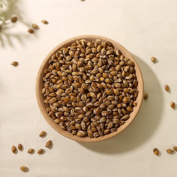 【菓青市集】黃金大麥茶