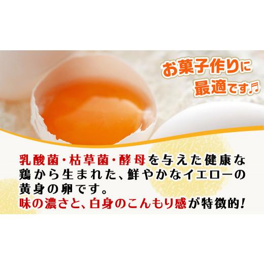 ふるさと納税 宮崎県 都城市 「きみ恋卵」110個定期便(5ヶ月)_T40（5）-2901_(都城市) 赤卵 きみ恋卵 Ｍサイズ 110個 約6.5kg