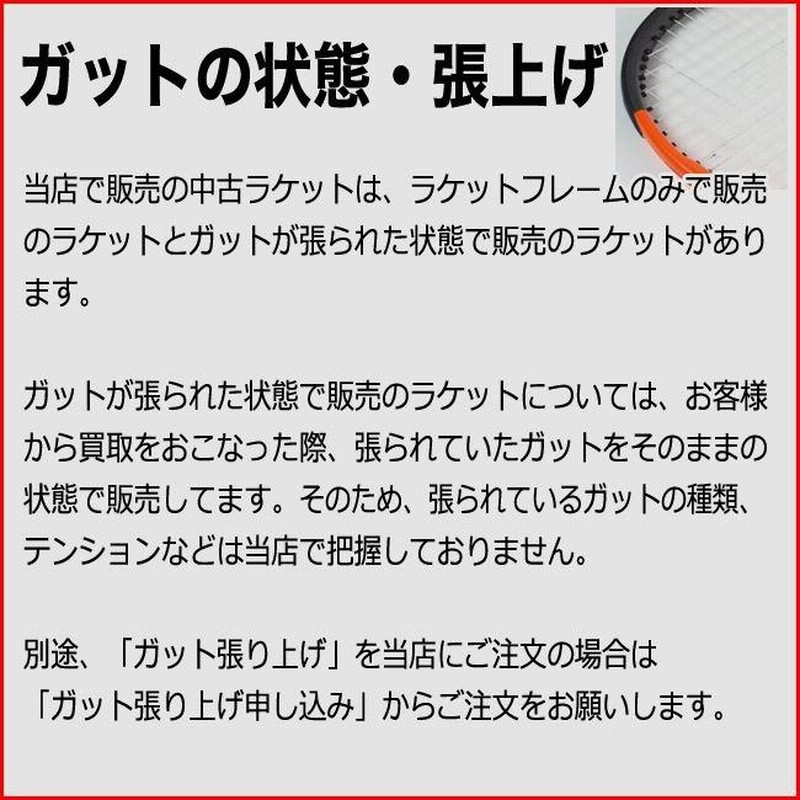 中古 スリクソン スリクソン エックス 2.0 2009年モデル 2009(G2