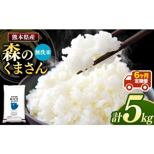 ふるさと納税 熊本県 玉名市 森のくまさん 無洗米 5kg×6回