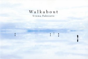 Walkabout　竹沢うるま 著