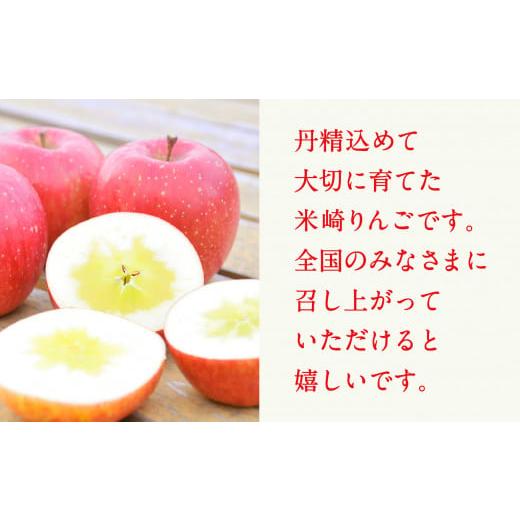 ふるさと納税 岩手県 陸前高田市 〈先行予約〉 米崎りんご３kg ≪品種おまかせ１種≫【 数量限定 リンゴ 林檎 りんご 9月 10月 11月 12月 青林 王…