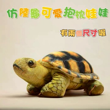 【隔日到貨】🔥 現貨! 出清 烏龜 抱枕 可愛抱枕 沙發抱枕 抱枕娃娃 生日禮物 聖誕節 禮物 萬聖節 小烏龜 交換禮物