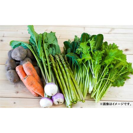 ふるさと納税 おまかせ旬野菜セット 旬 野菜 セット 北海道 北広島市 北海道北広島市