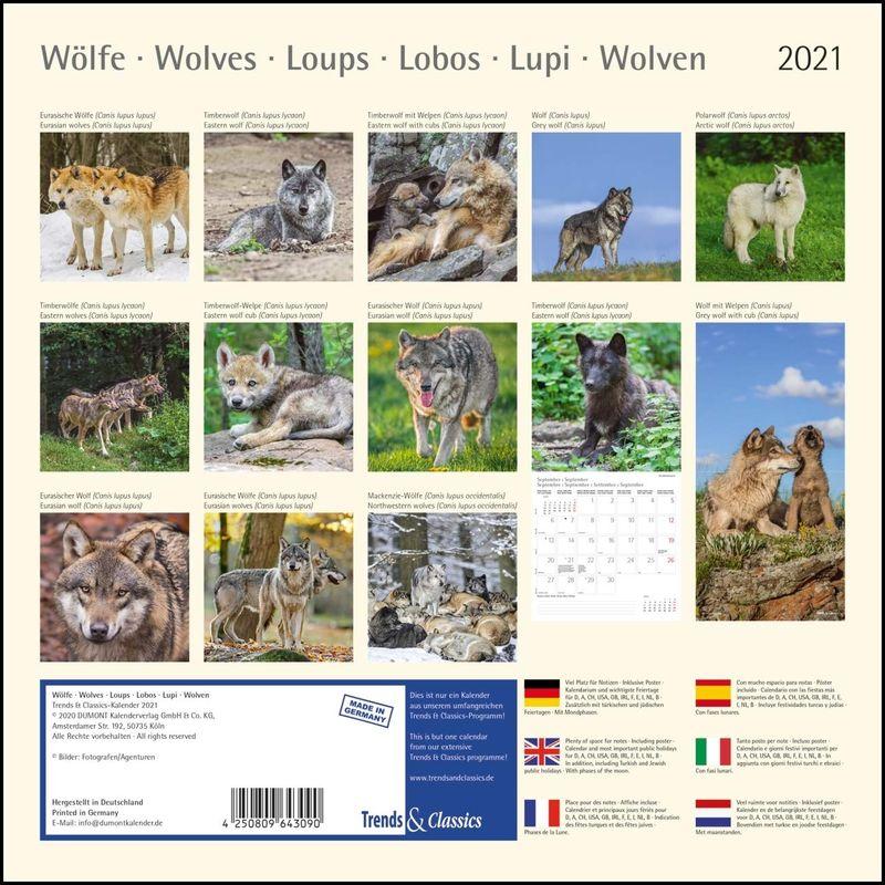 Woelfe Wolves Broschuerenkalender Wandkalender mit herausne