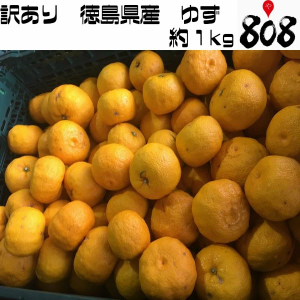 訳有り　ゆず 約1kg サラダ ゆず風呂 風味 柑橘類 香味 