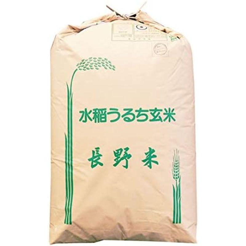 玄米長野県上伊那産 玄米 長野県で一番早くて旨い 五百川 1等 30kg 令和4年産 新米