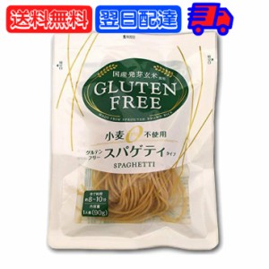 大潟村あきたこまち生産者協会 グルテンフリー スパゲティ 90g 1個 大潟村 おきたこまち グルテンフリー パスタ スパゲッティ グルテンフ