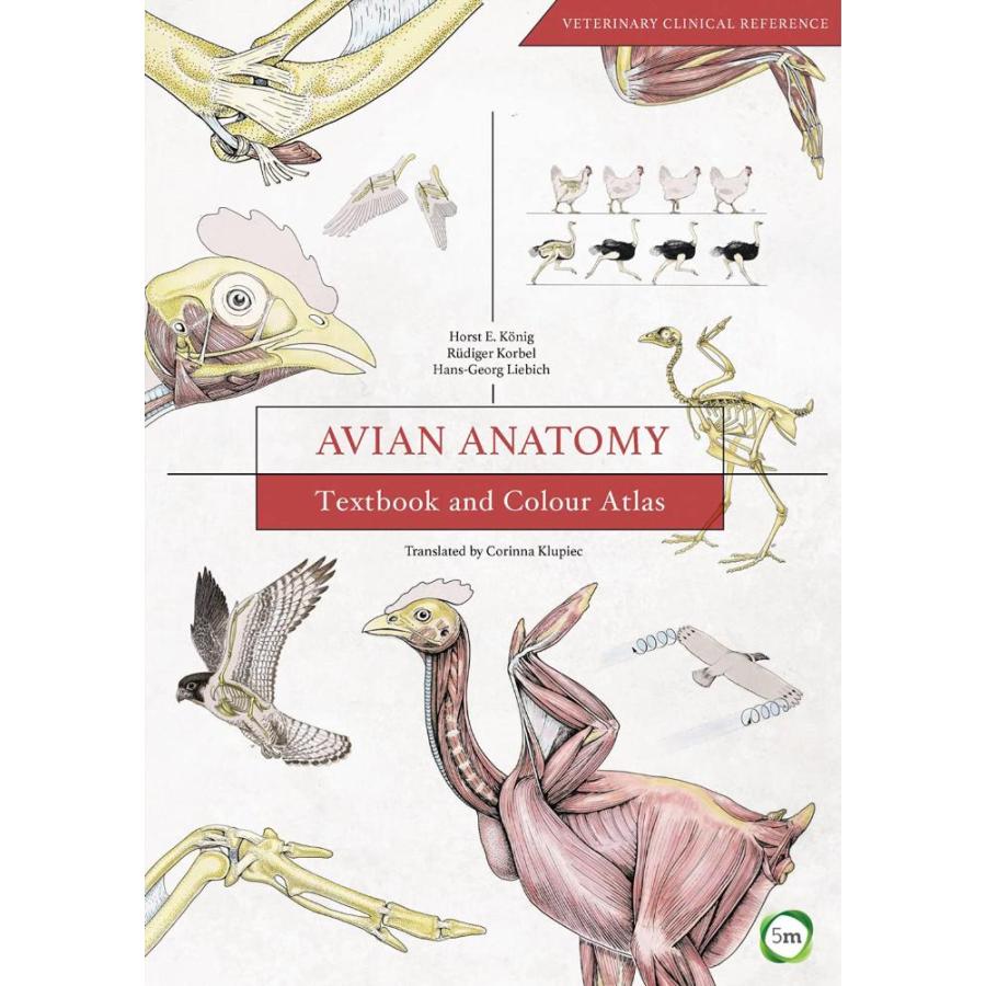 Avian Anatomy: Textbook and Colour Atlas