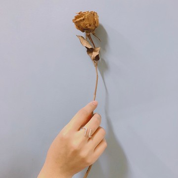 999純銀 並肩 活戒