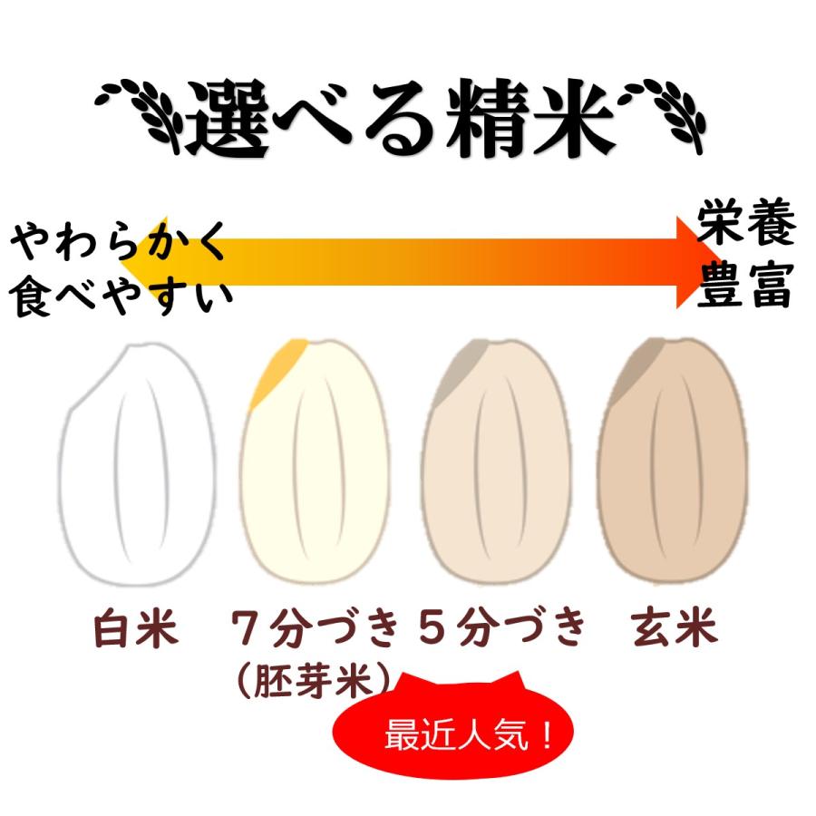 ミルキークイーン 20kg 三重県産 減農薬 玄米 お米 農家直送 米 20キロ 分づき 白米 10kg×2 5kg×4 おんじ屋 お歳暮 ギフト