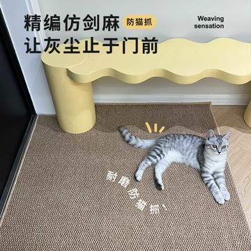 🔥 限時特賣&優選臻品🚀 仿劍麻地毯門墊 入戶門地墊 進門大門口 入門玄關 門外家用腳墊 防貓抓地墊