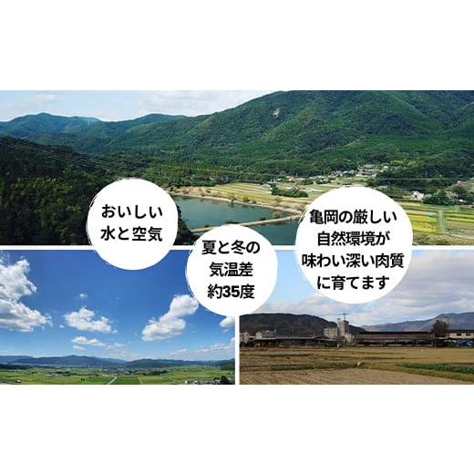 ふるさと納税 京都府 亀岡市 「亀岡牛」肩ローススライス　500ｇ ☆祝！亀岡牛 2021年最優秀賞（農林水産大臣賞）受賞