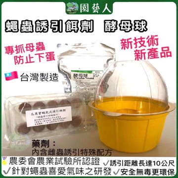 🌿園藝人🌿蠅蟲誘引餌劑  酵母球🇹🇼台灣研發台灣製造 🐛專抓母蠅蟲 對卡式昆蟲誘捕器 ✨新產品新技術  捕蟲 誘蟲