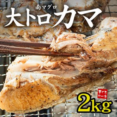 ふるさと納税 いわき市 南マグロ大トロカマ　約2kg　したたるほどの脂のり!塩焼き・煮付け・BBQに　解凍レシピ付き