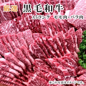 厳選国産黒毛和牛 A5 タレ漬け 焼肉用 モモ バラ 900g (国産牛 焼肉 黒毛和牛 焼肉 A5ランク焼肉 和牛 焼肉 モモ 焼肉 バラ 焼肉 焼肉900g タレ漬け焼肉 京都 焼肉