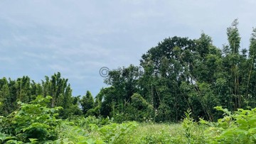 K033北海岸都內農地｜臨路大面寬・潛力標的｜新北市石門區白沙灣段