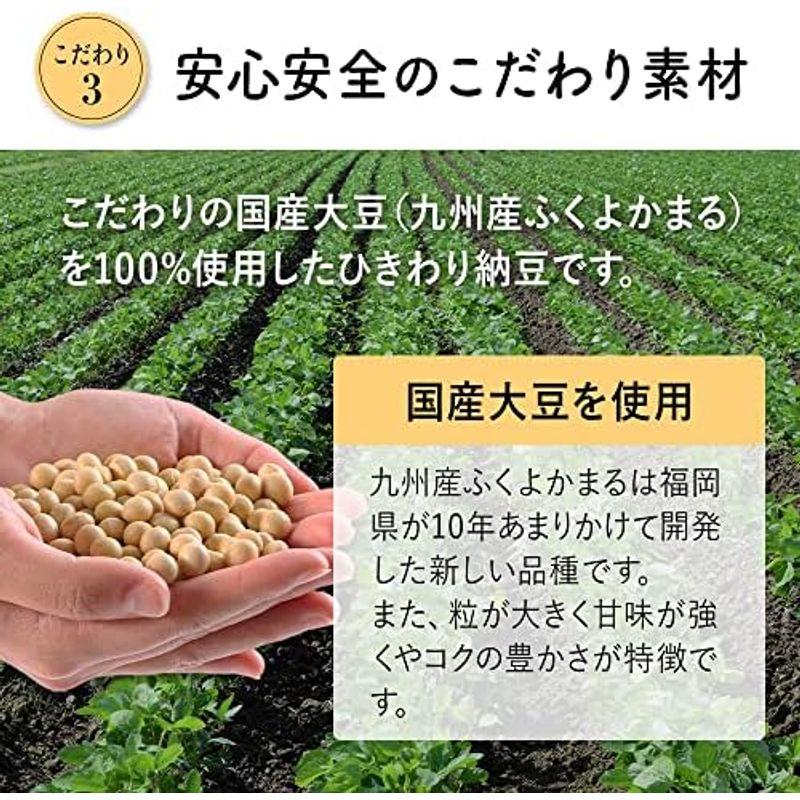 国産ひきわりスティック納豆 カツオ風味（20g×120本） 手が汚れない 味自慢 たんぱく質 カルシウム ナットウキナーゼ 冷凍保存商品 ひ