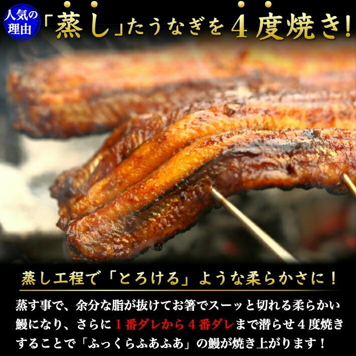 国産 特大うなぎ 土佐あかうし (サーロインステーキ)のセット 選べる鰻 ギフト