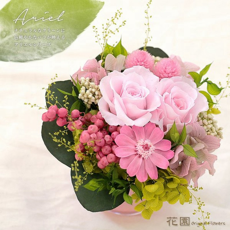 プリザーブドフラワー アリエル ピンク クリアケース付き 誕生日 贈り物 記念日 母の日 敬老の日 プレゼント ギフト 枯れない 花 お祝い 通販 Lineポイント最大get Lineショッピング