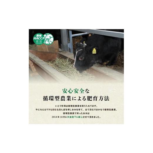 ふるさと納税 三重県 津市 松阪牛ビーフステーキカレー　6個