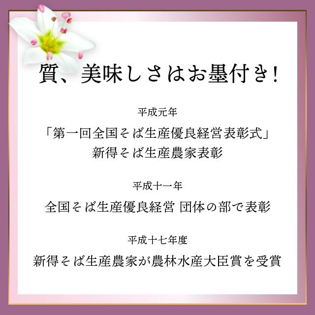 お歳暮 そば 蕎麦 ギフト 送料無料 北海道 新得そば 詰め合わせ(SB-50T)   御歳暮 冬ギフト おそば 蕎麦 ソバ 蕎麦セット 内祝い 御祝い セット 詰め合わせ