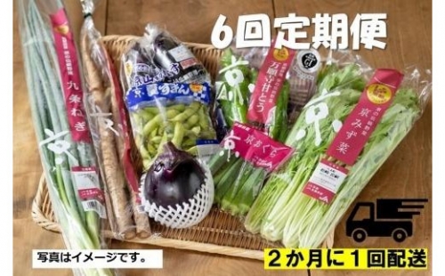 ＜6回　定期便＞２か月に１回配送！季節の京野菜セット