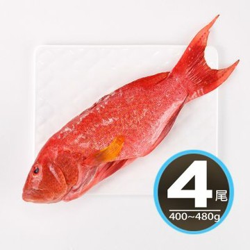 【華得水產】空運燕尾紅條魚4條組(400-480g/條)