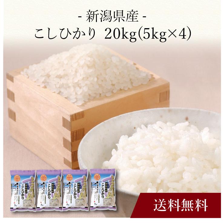 お取り寄せ 送料無料 内祝い 〔 新潟県産 こしひかり 20kg 〕 出産内祝い 新築内祝い 快気祝い 米