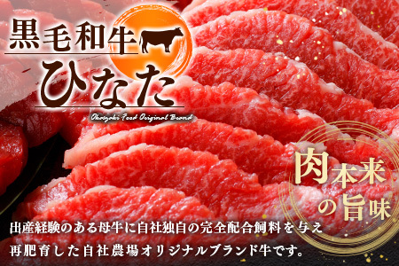 ブランド牛「黒毛和牛ひなた」モモスライス500g