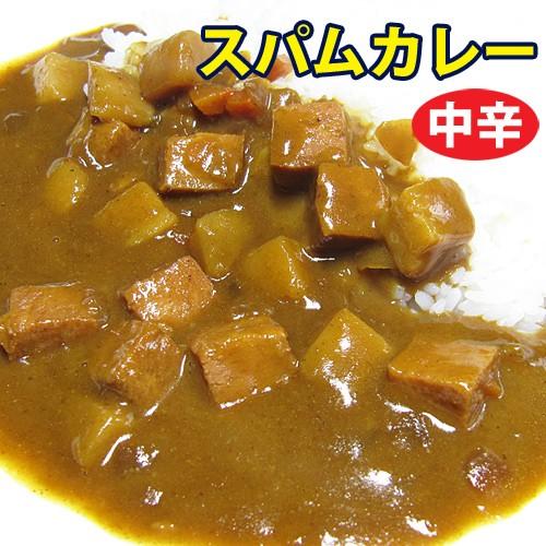 SPAM スパムカレー 1人分×10箱セット 沖縄ホーメル 食品 お土産 保存食 レトルト