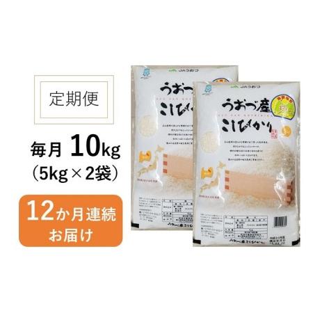 ふるさと納税 定期便 米 10kg (5kg×2袋) 12ヶ月 コシヒカリ 富山 魚津産 こめ コメ お米 おこめ 白米 精米 12回 お楽しみ 富山県魚津市