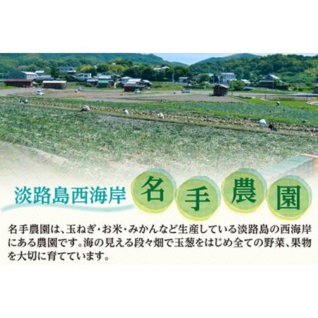 ふるさと納税 名手農園の淡路島特産季節の農園セット 兵庫県淡路市