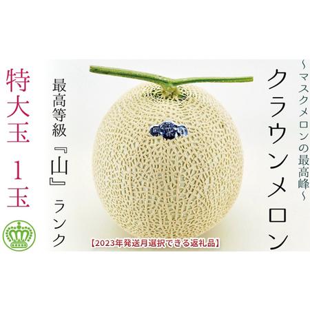 ふるさと納税 ★発送月選択できる返礼品★ クラウンメロン（山級）特大玉  1玉 ギフト箱入り メロン 人気 厳選 ギフト 贈り物 デザート グルメ  .. 静岡県袋井市