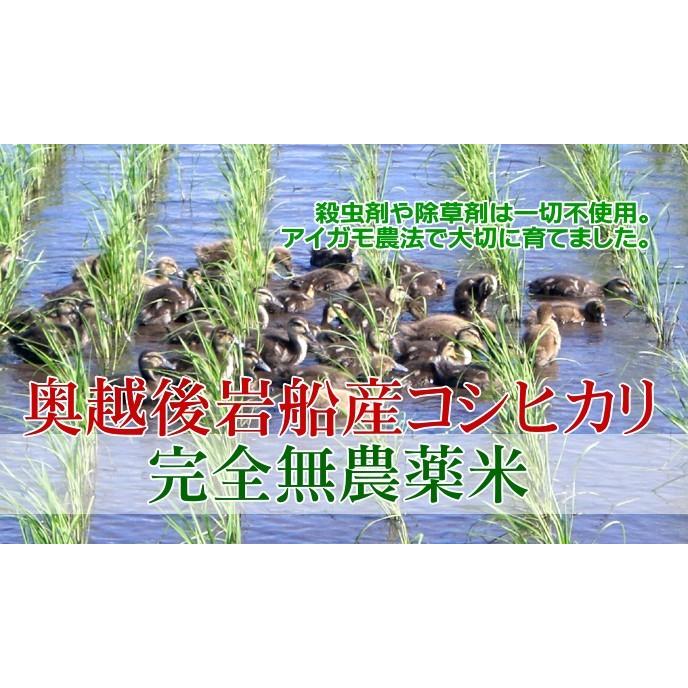 農薬無使用米 新潟 コシヒカリ 玄米 20kg(10kg×2袋)／新米 米 お米 新潟米 アイガモ米 自然栽培 無農薬 有機肥料 岩船産コシヒカリ 高級米