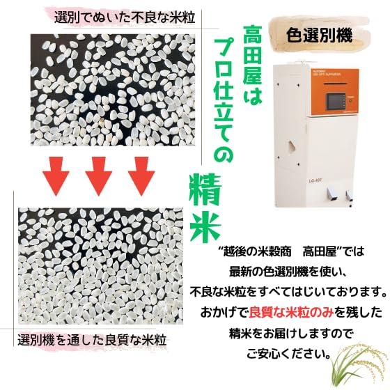 新米 精白米 5kg 新潟県産 こしいぶき 安心安全な特別栽培米 令和5年産(5kg)