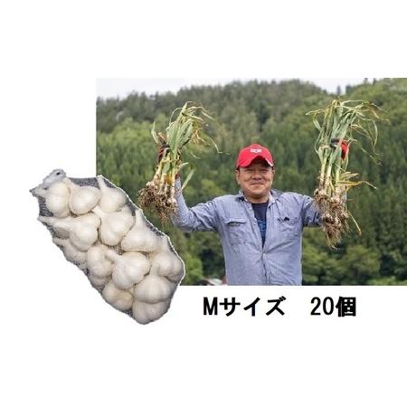 ふるさと納税 丸美農園 田子産家庭用にんにく（M）20個 青森県田子町