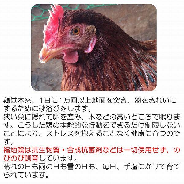 福地鶏のふくたまご25個(規格外55g以下) 福井県の平飼い地鶏卵 産地直送 テトテヲ